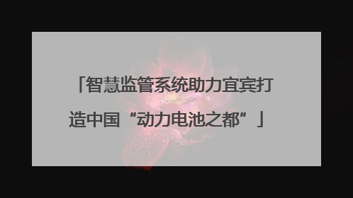 智慧监管系统助力宜宾打造中国“动力电池之都”