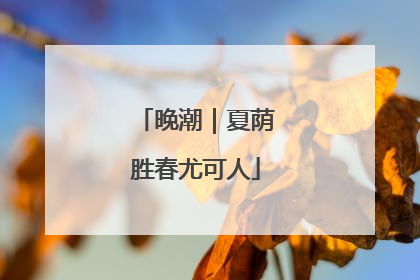 晚潮｜夏荫胜春尤可人
