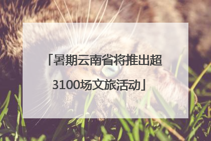 暑期云南省将推出超3100场文旅活动