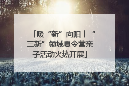 暖“新”向阳丨“三新”领域夏令营亲子活动火热开展