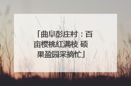 曲阜彭庄村：百亩樱桃红满枝 硕果盈园采摘忙