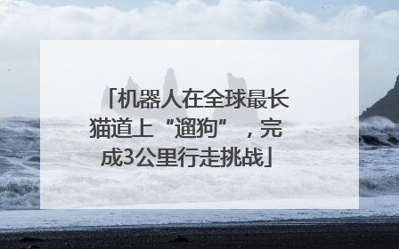 机器人在全球最长猫道上“遛狗”，完成3公里行走挑战