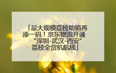 最大规模荔枝助销再添一码！京东物流开通“深圳-武汉-西安” 荔枝全货机航线
