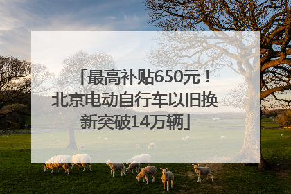 最高补贴650元！北京电动自行车以旧换新突破14万辆