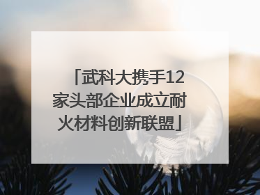 武科大携手12家头部企业成立耐火材料创新联盟