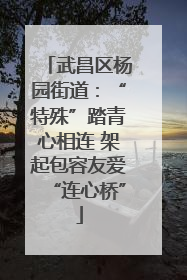 武昌区杨园街道：“特殊”踏青心相连 架起包容友爱“连心桥”