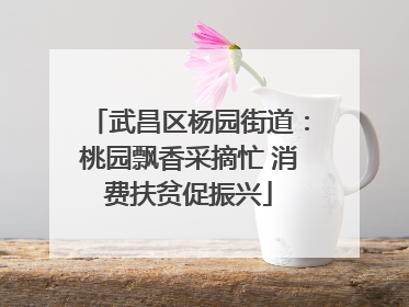 武昌区杨园街道：桃园飘香采摘忙 消费扶贫促振兴