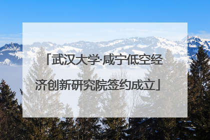 武汉大学·咸宁低空经济创新研究院签约成立