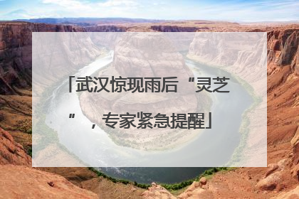 武汉惊现雨后“灵芝”，专家紧急提醒