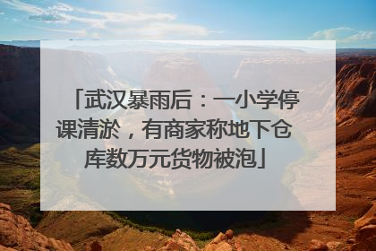 武汉暴雨后：一小学停课清淤，有商家称地下仓库数万元货物被泡