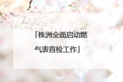 株洲全面启动燃气表首检工作