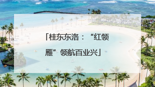 桂东东洛：“红领雁”领航百业兴