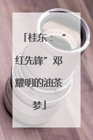 桂东：“红先锋”邓耀明的油茶梦