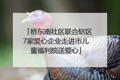 桥东南社区联合辖区7家爱心企业走进市儿童福利院送爱心