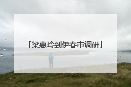 梁惠玲到伊春市调研