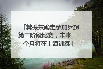 樊振东确定参加乒超第二阶段比赛，未来一个月将在上海训练