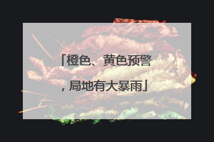 橙色、黄色预警，局地有大暴雨