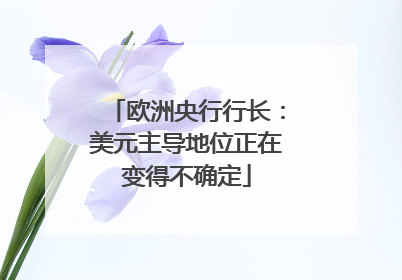欧洲央行行长：美元主导地位正在变得不确定