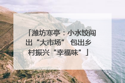 潍坊寒亭：小水饺闯出“大市场” 包出乡村振兴“幸福味”