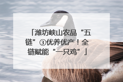 潍坊峡山农品“五链”③优养优产！全链赋能“一只鸡”