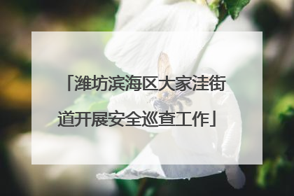 潍坊滨海区大家洼街道开展安全巡查工作