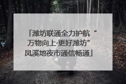潍坊联通全力护航“万物向上·更好潍坊”凤溪地夜市通信畅通