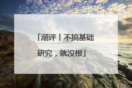 潮评丨不搞基础研究，就没根