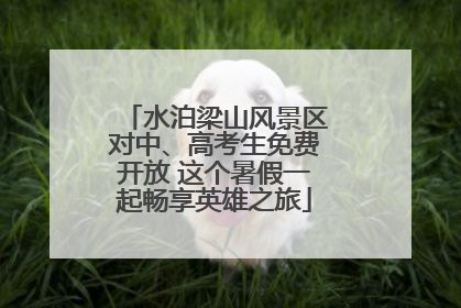水泊梁山风景区对中、高考生免费开放 这个暑假一起畅享英雄之旅