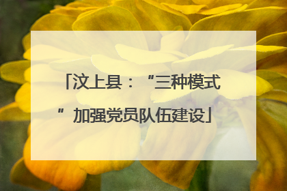 汶上县：“三种模式”加强党员队伍建设