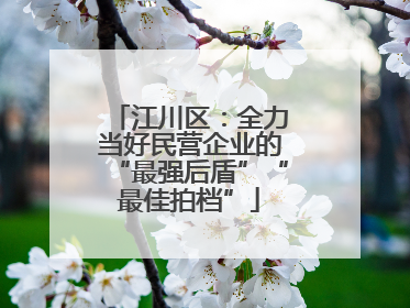 江川区：全力当好民营企业的“最强后盾”“最佳拍档”