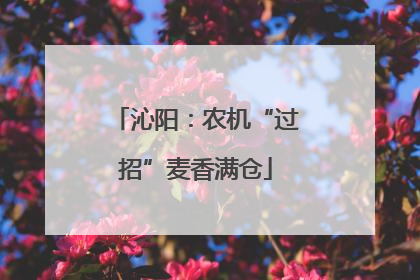 沁阳：农机“过招”麦香满仓