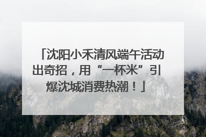 沈阳小禾清风端午活动出奇招，用“一杯米”引爆沈城消费热潮！
