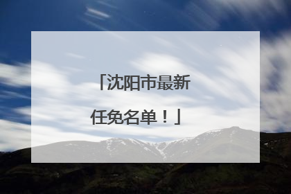 沈阳市最新任免名单！