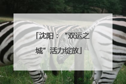 沈阳：“双运之城”活力绽放