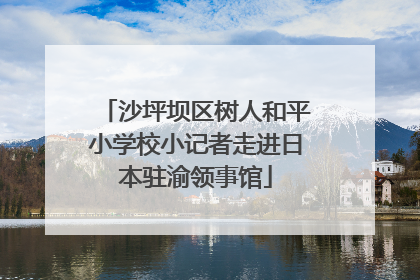 沙坪坝区树人和平小学校小记者走进日本驻渝领事馆