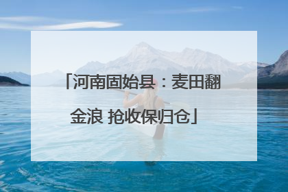 河南固始县：麦田翻金浪 抢收保归仓