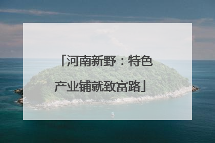 河南新野：特色产业铺就致富路