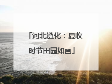 河北遵化：夏收时节田园如画