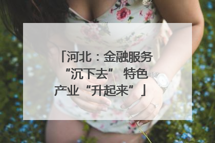 河北：金融服务“沉下去” 特色产业“升起来”