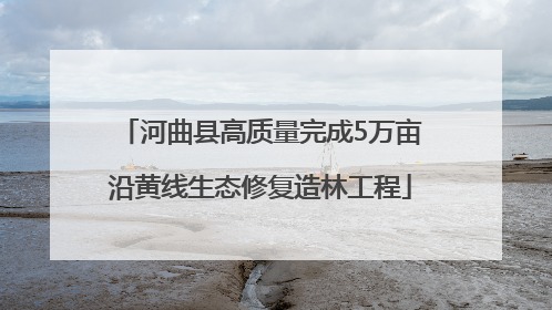 河曲县高质量完成5万亩沿黄线生态修复造林工程