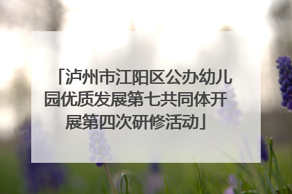泸州市江阳区公办幼儿园优质发展第七共同体开展第四次研修活动