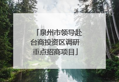 泉州市领导赴台商投资区调研重点招商项目