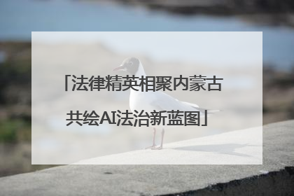 法律精英相聚内蒙古 共绘AI法治新蓝图