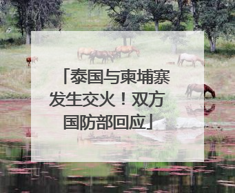 泰国与柬埔寨发生交火！双方国防部回应