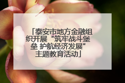 泰安市地方金融组织开展“筑牢战斗堡垒 护航经济发展”主题教育活动