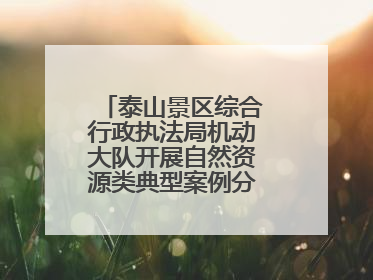 泰山景区综合行政执法局机动大队开展自然资源类典型案例分析交流活动