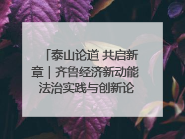 泰山论道 共启新章｜齐鲁经济新动能 法治实践与创新论坛成功举办