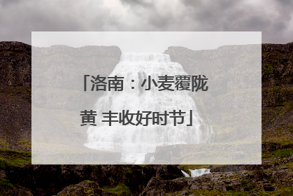 洛南：小麦覆陇黄 丰收好时节