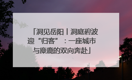 洞见岳阳丨洞庭碧波迎“归客”：一座城市与麋鹿的双向奔赴