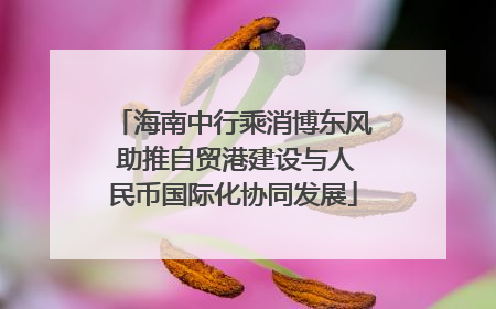 海南中行乘消博东风 助推自贸港建设与人民币国际化协同发展